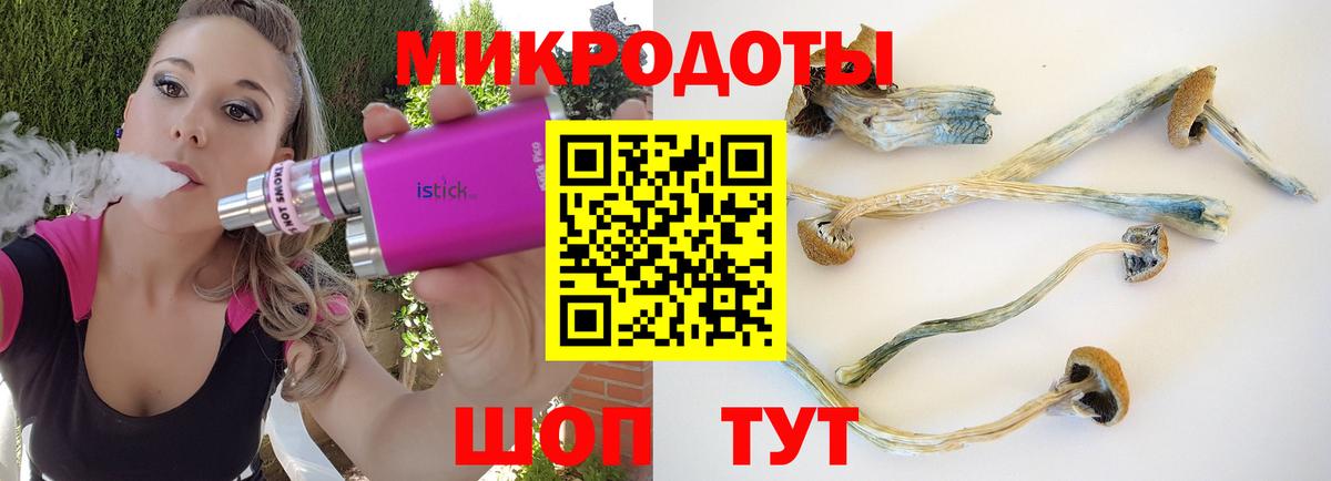 Петропавловск-Камчатский  как найти наркотики  Вход с VPN  Псилоцибиновые грибы мицелий 