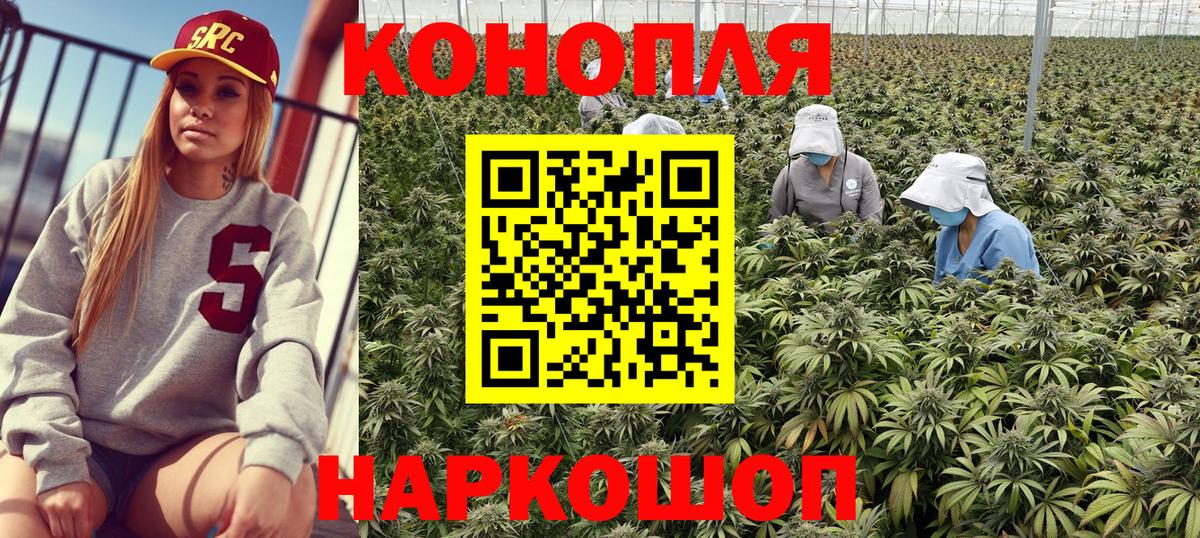 Конопля сатива  Вход с VPN  МАРИХУАНА Ganja  Каннабис OG Kush  Марихуана Amnesia  Петропавловск-Камчатский 